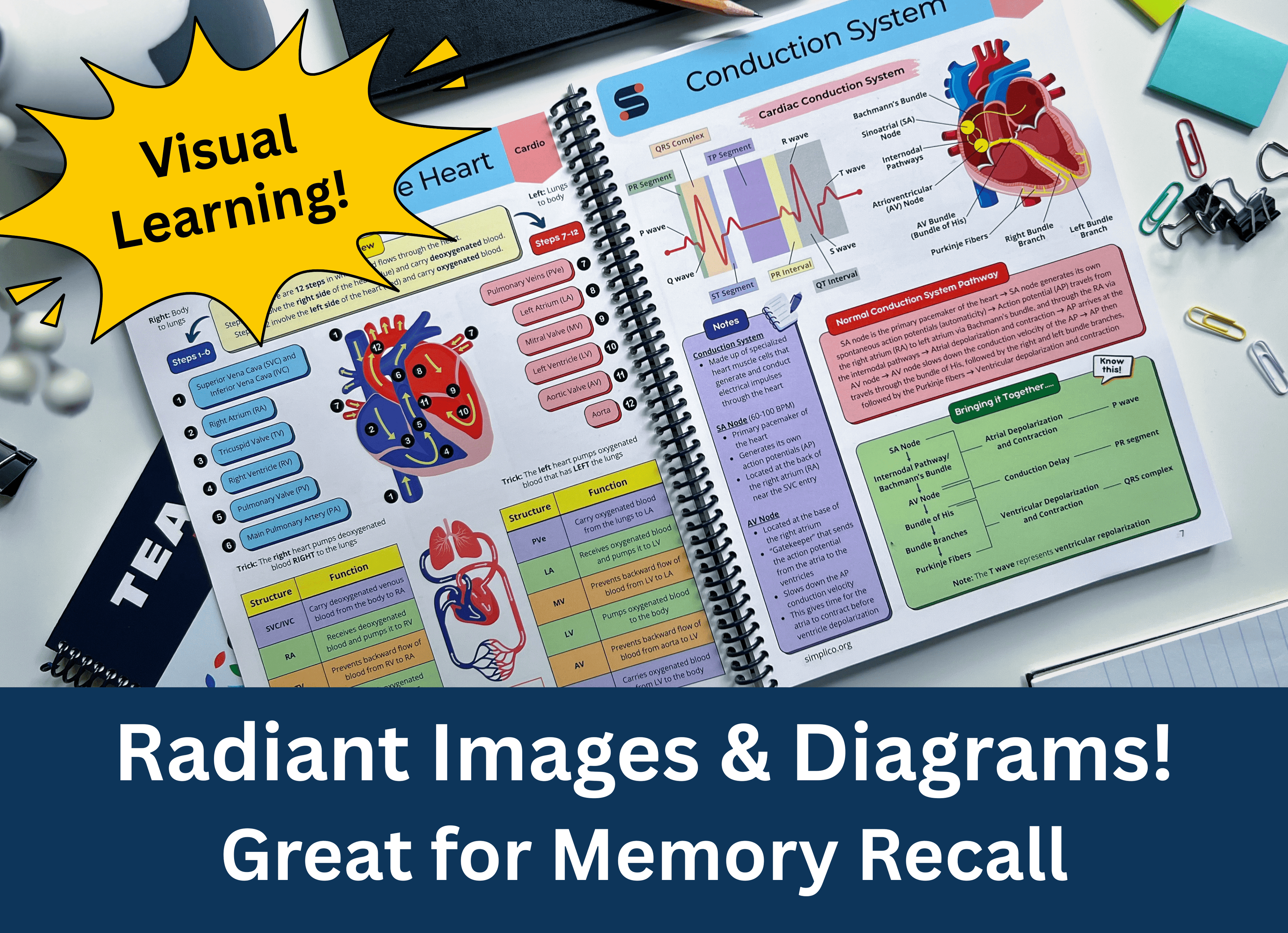 Teach Me Medicine Book