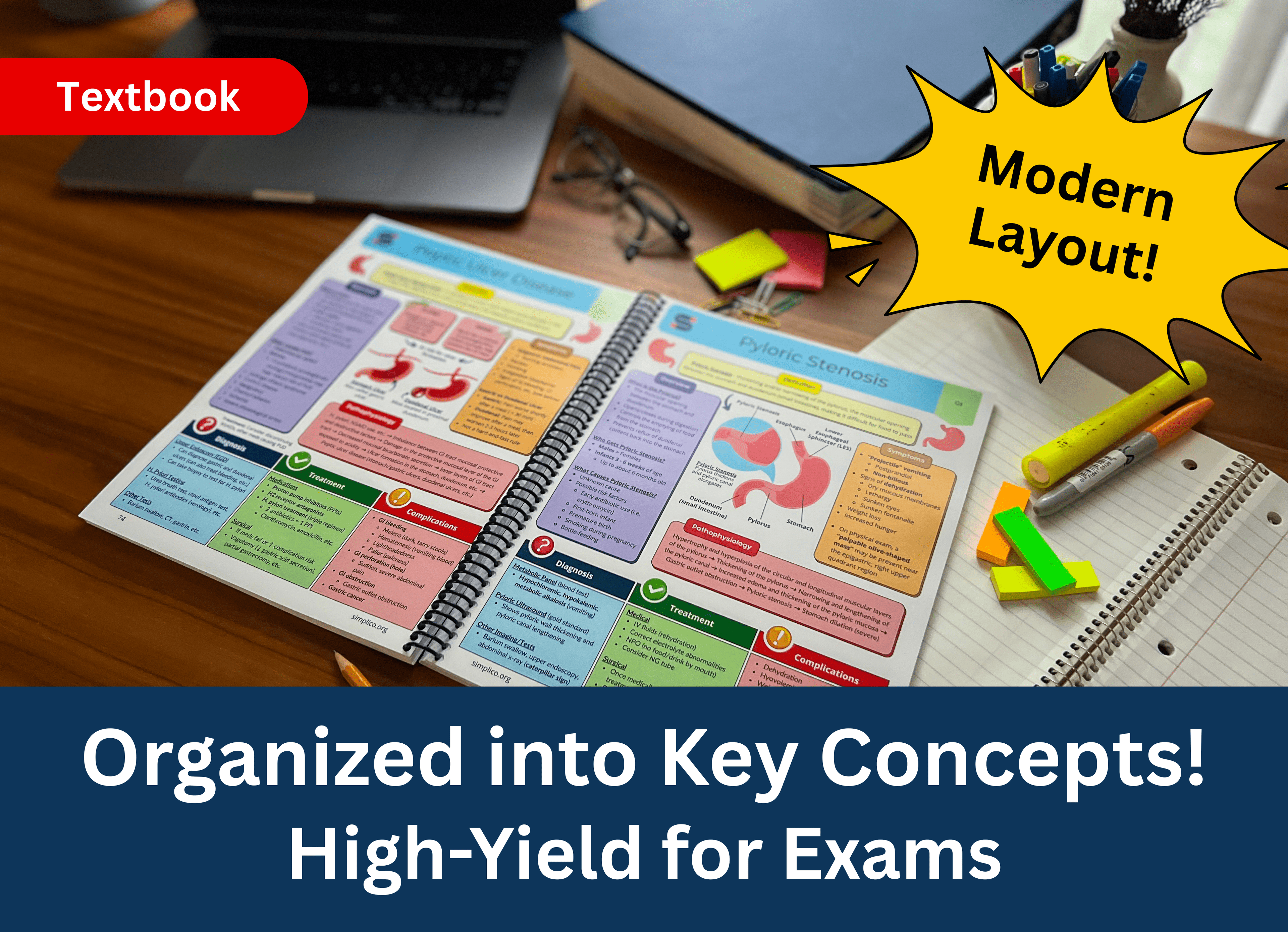 VIP Package | Everything Included