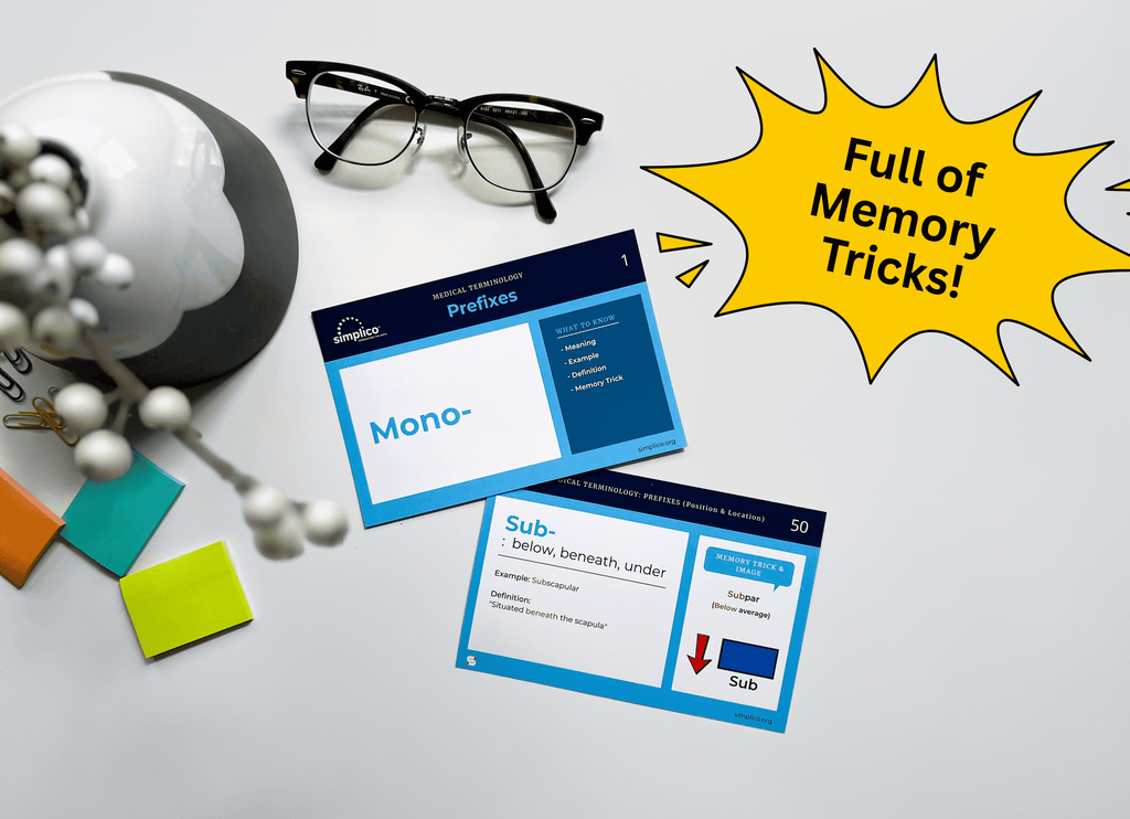 Medical Terminology Flashcards