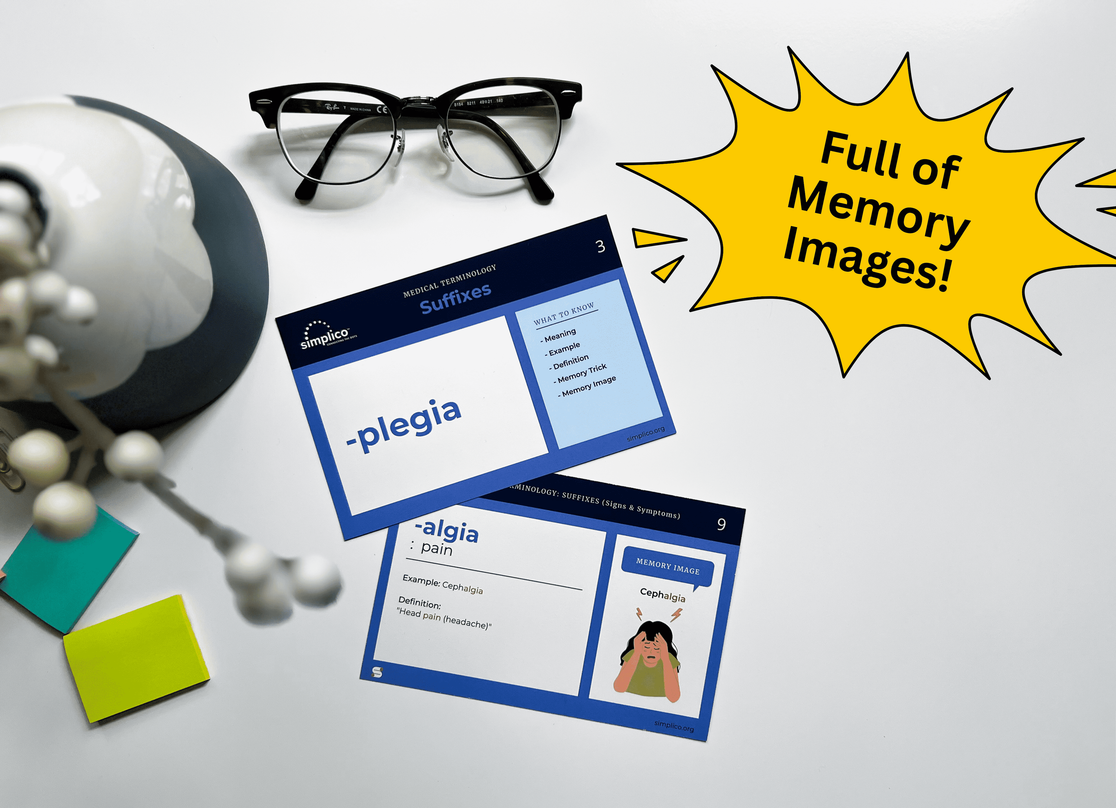 Medical Terminology Flashcards