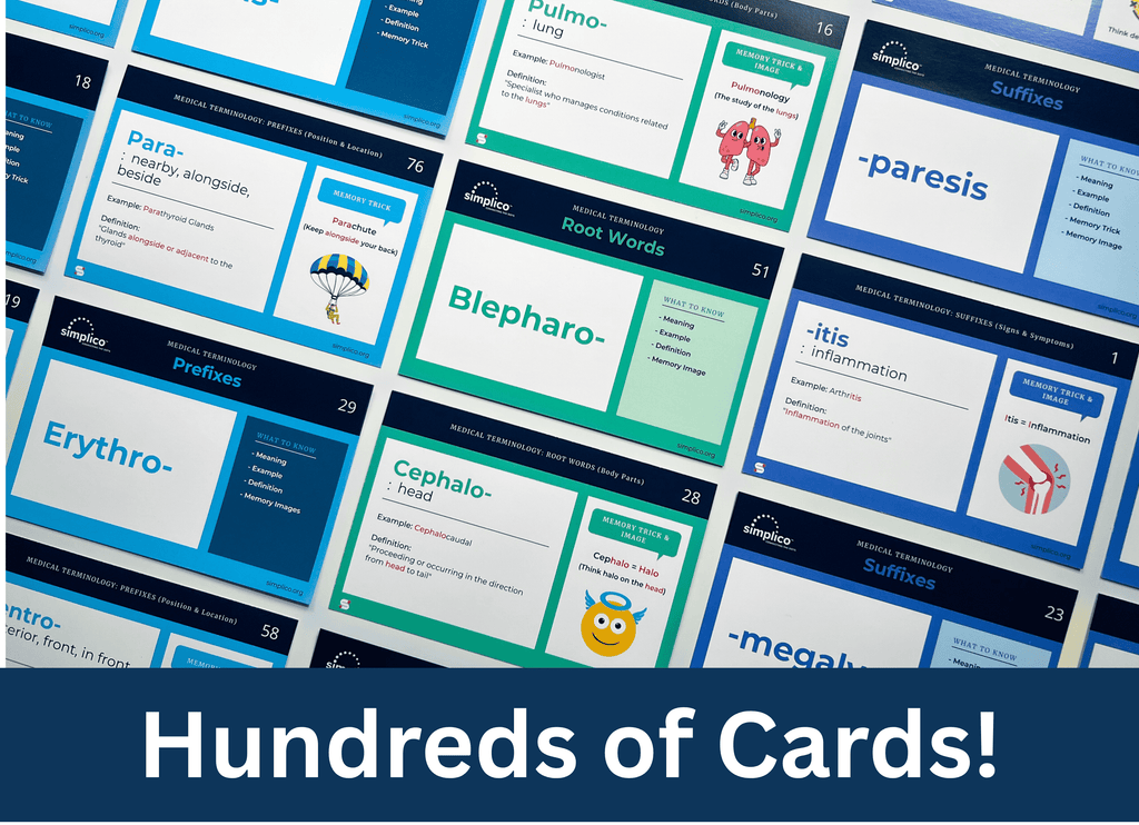 Medical Terminology Flashcards