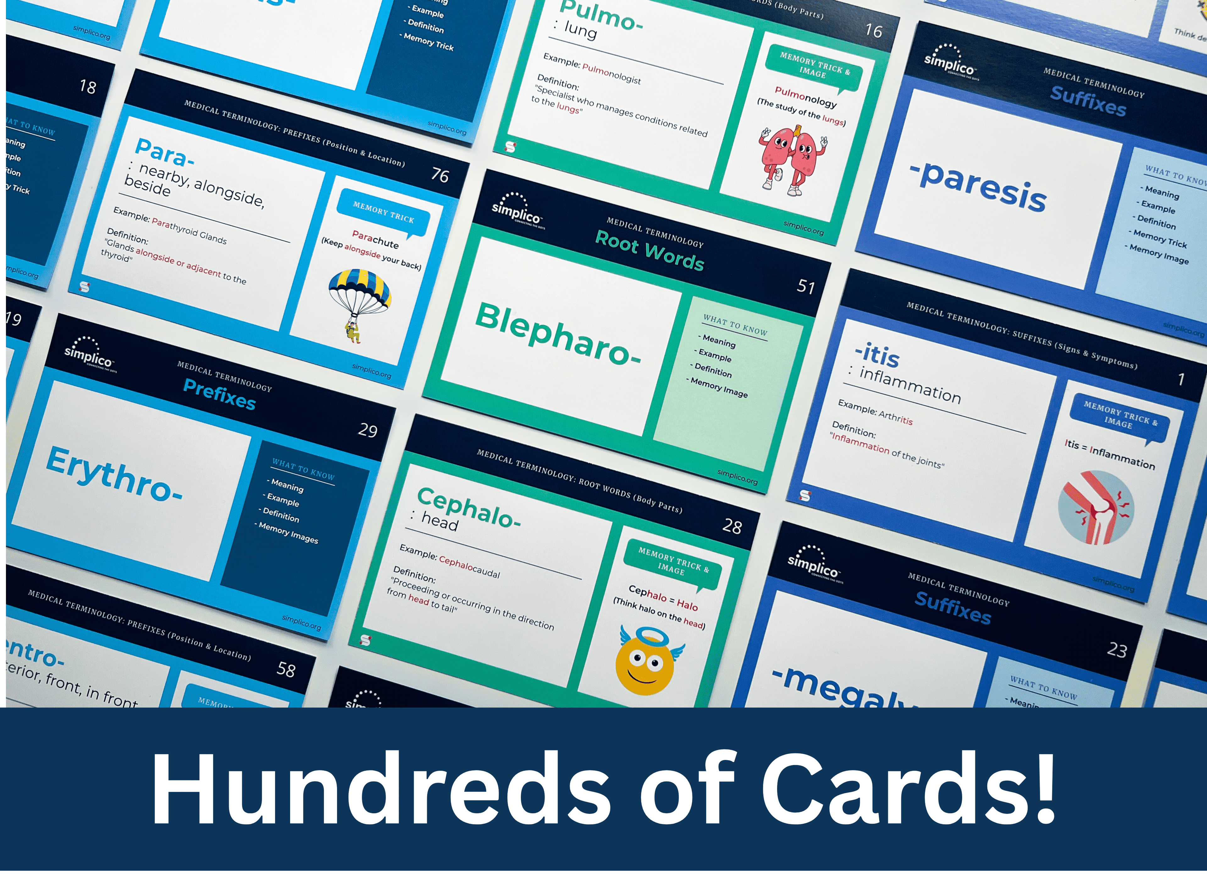 Medical Terminology Flashcards