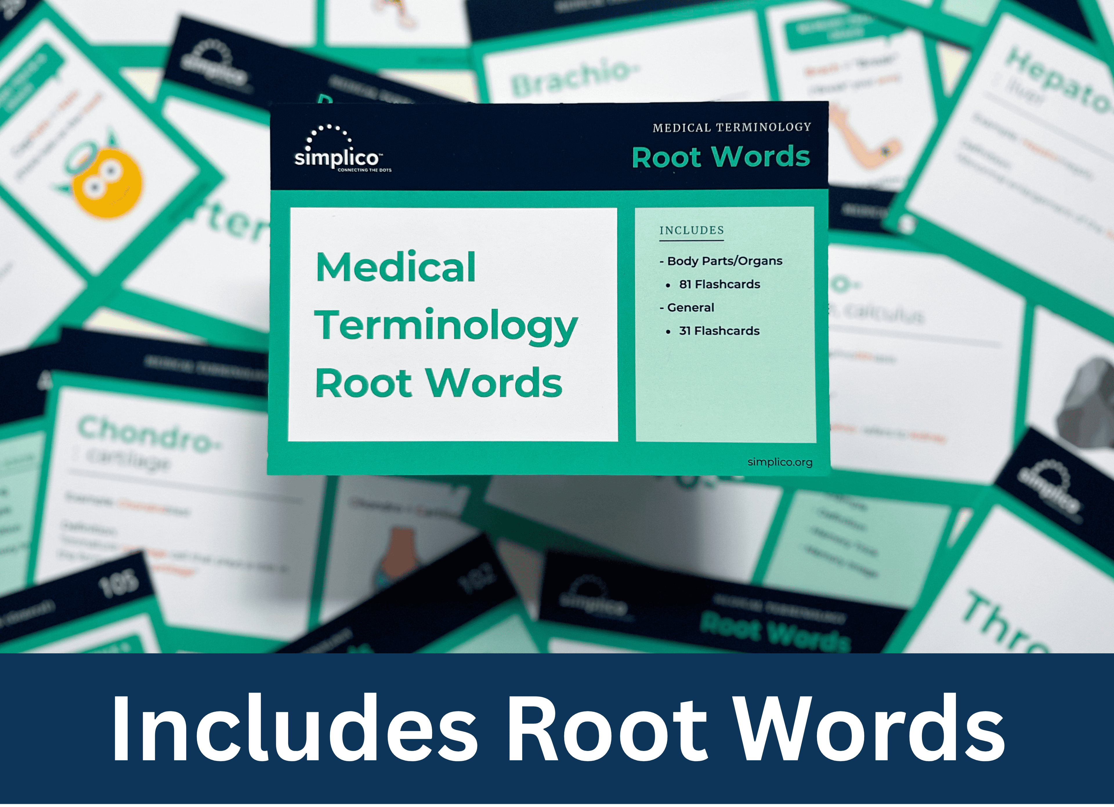 Medical Terminology Flashcards