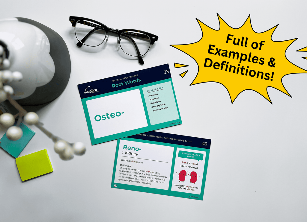 Medical Terminology Flashcards