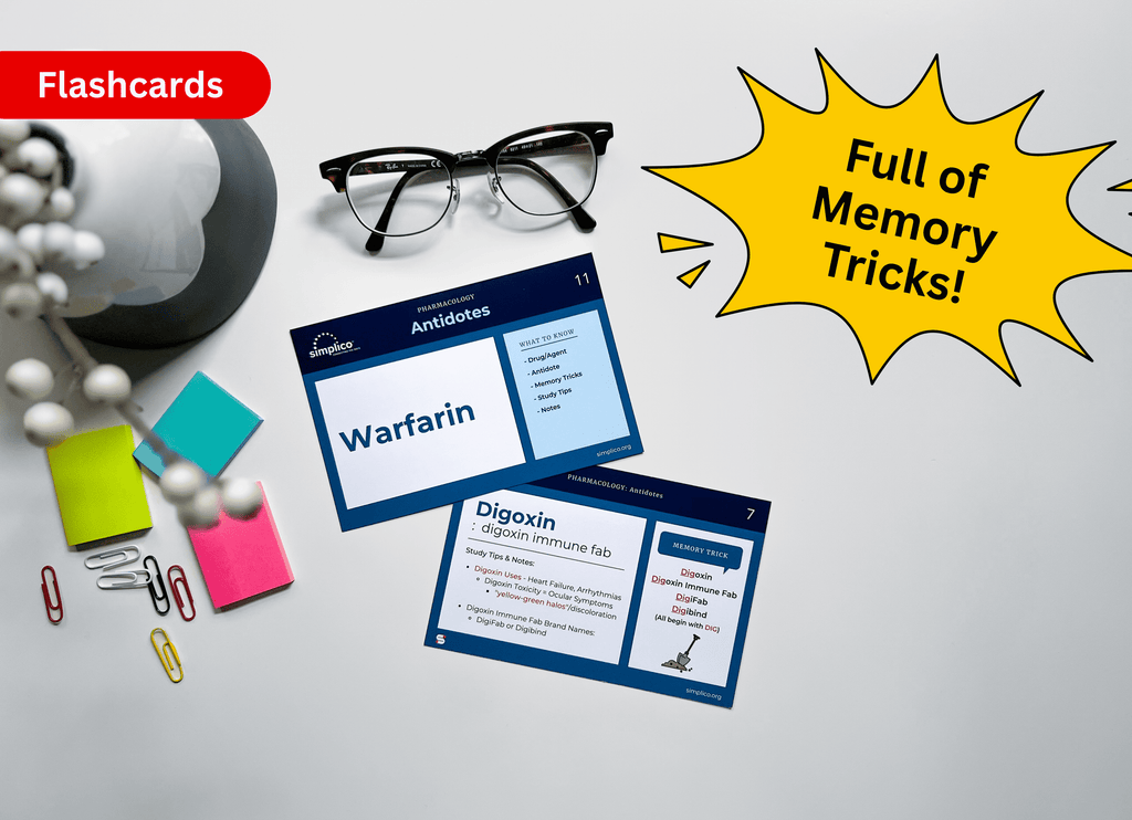 VIP Package | Everything Included