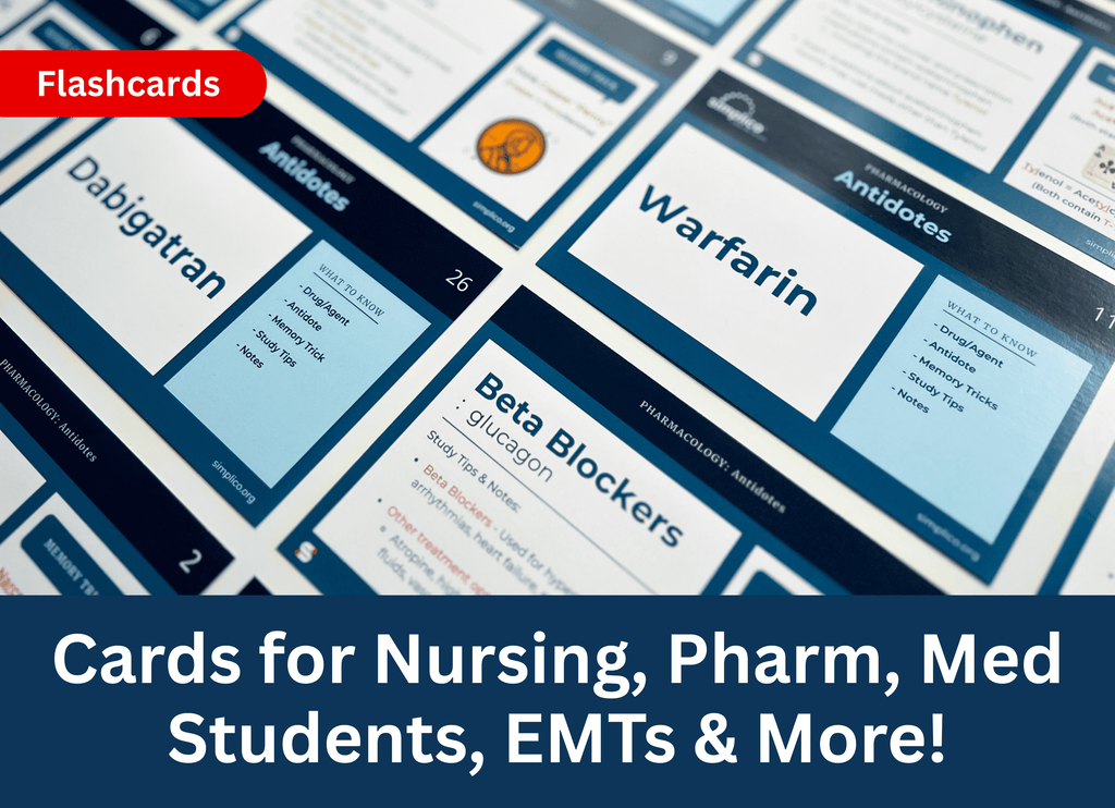 VIP Package | Everything Included