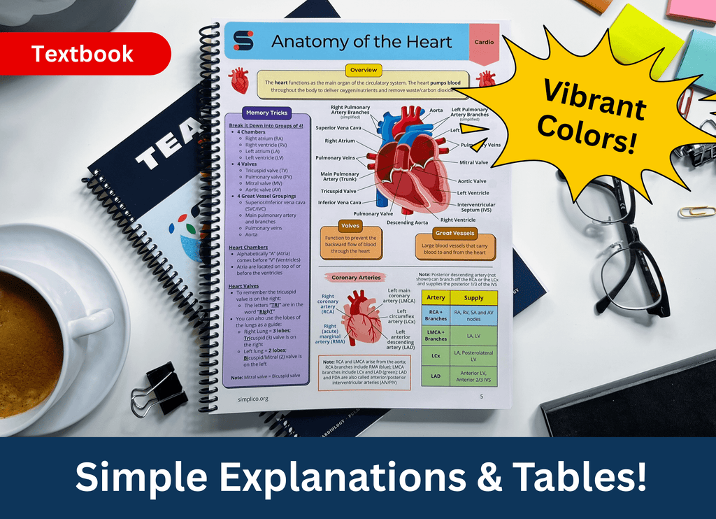 VIP Package | Everything Included