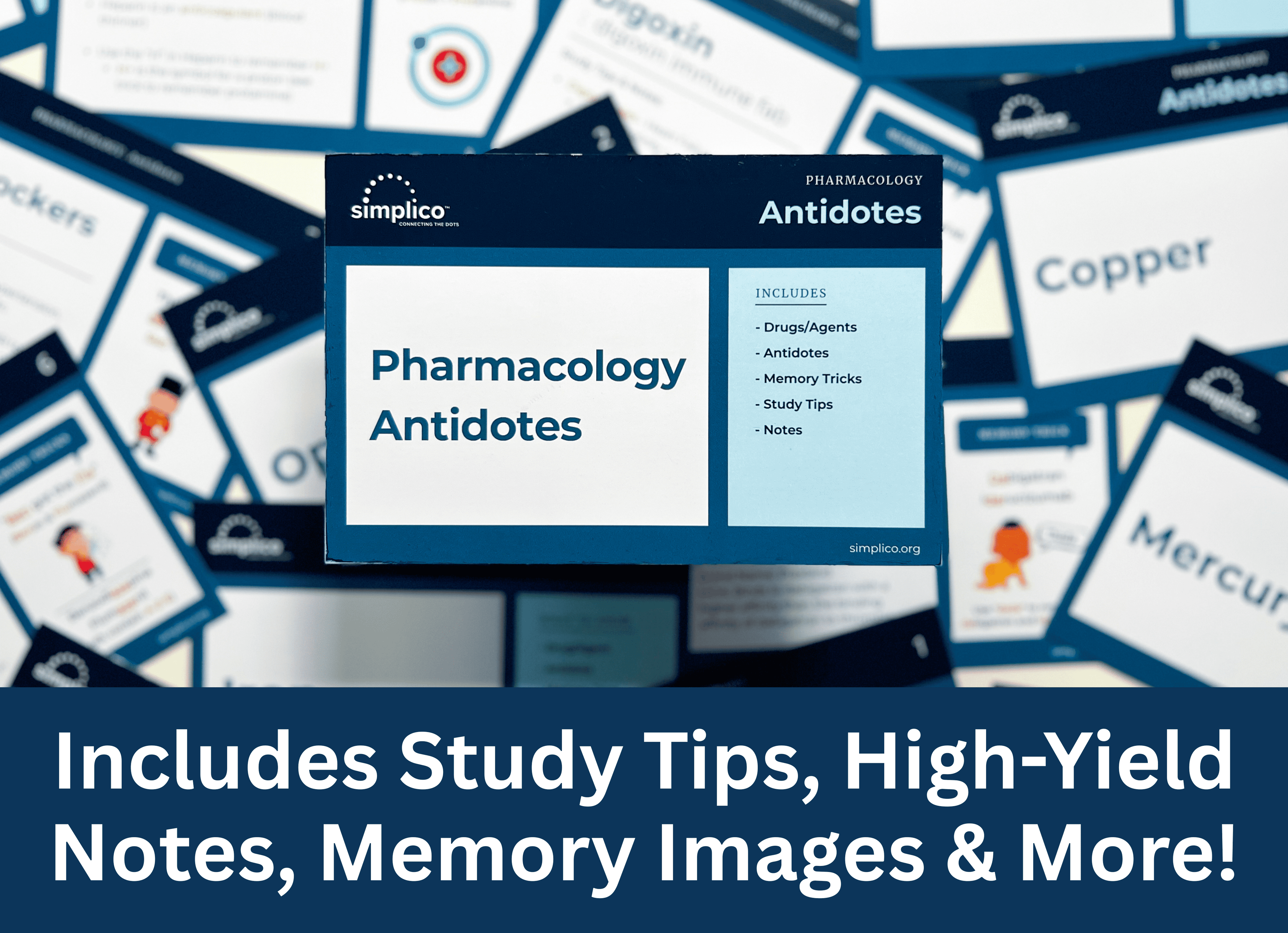 Pharmacology Flashcards