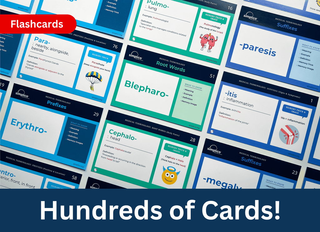 VIP Package | Everything Included