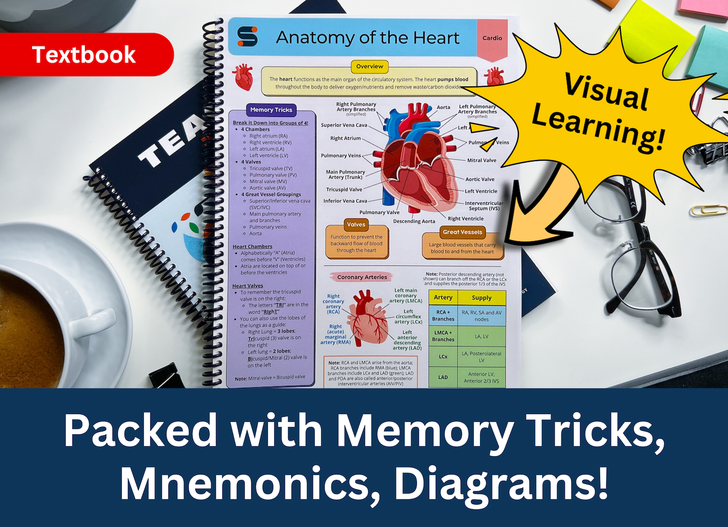 Teach Me Medicine Book